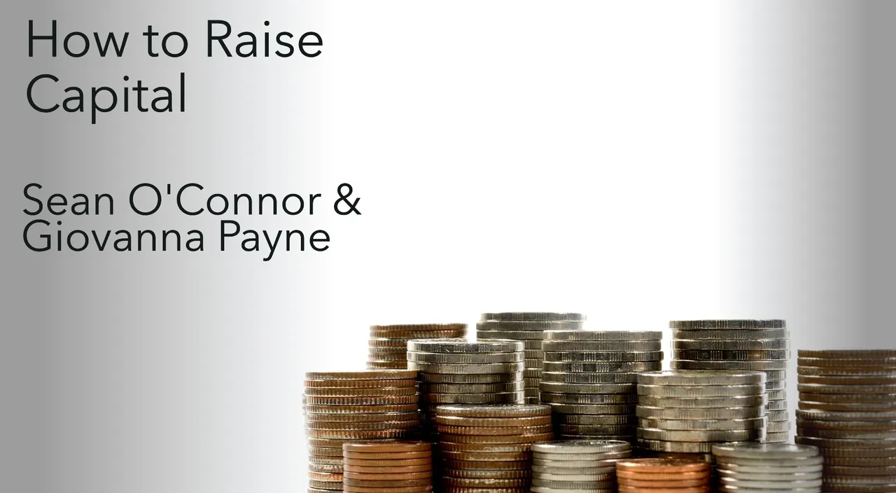 image of How to Raise Capital